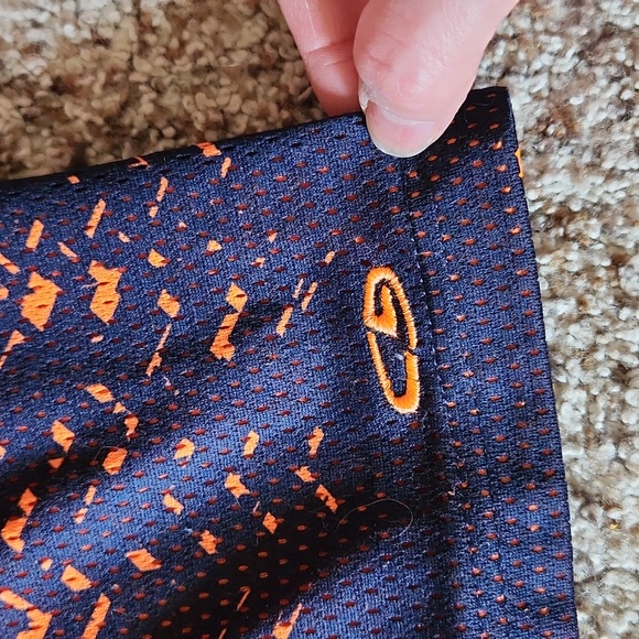 Champion - Picture 2 of 4